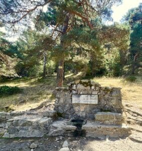 Fuente grande de piedra junto al camino y rodeada de pinos.