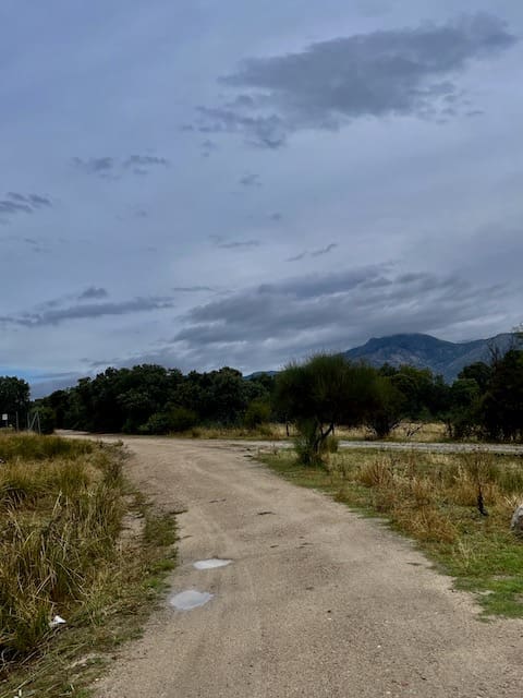 Cañada Real para realizar Marcha nórdica por la Sierra de Guadarrama