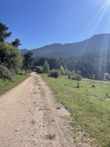 Pista por la que transcurre parte de la ruta de marcha nórdica del pino de la cadena