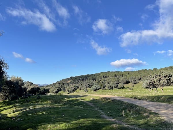 Pista por la que transcurre la ruta de marcha nórdica de Collado Villalba