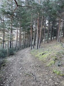 Sendero por el que transcurre la ruta de marcha nórdica monte del hilo