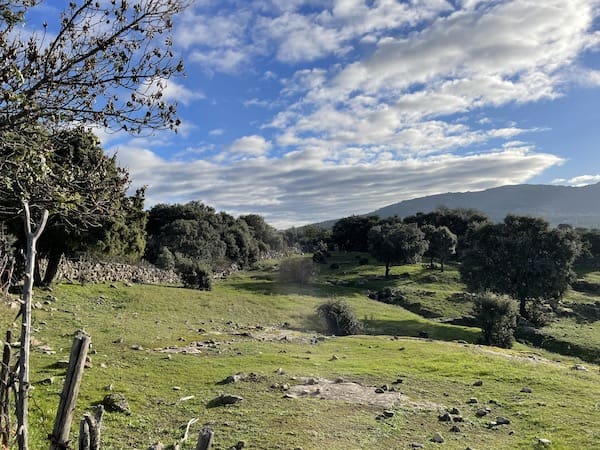 Vistas en la ruta de marcha nórdica de Collado villalba