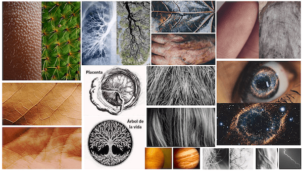 Similitud entre el cuerpo humano y la naturaleza en distintas imágenes tipo collage