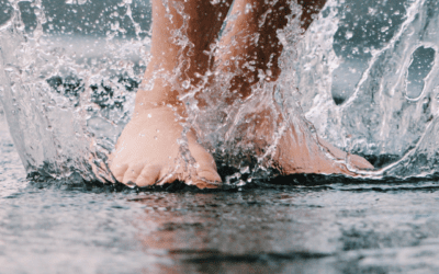 Marcha nórdica y homeostasis: marchando bajo la lluvia