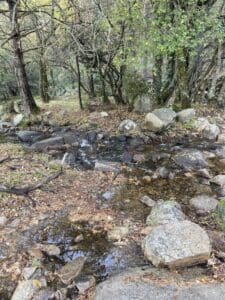 Imagen del arroyo que atravesamos en la ruta de marcha nórdica