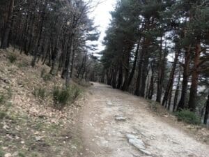 Imagen del camino Puricelli en la ruta de marcha nórdica