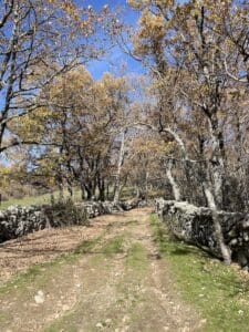 Camino por el que transcurre la ruta de marcha nórdica
