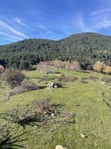 Imagen de la explanada de los campamentos