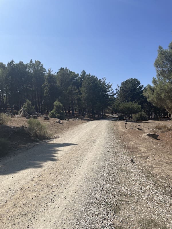 Pista ancha ideal para la práctica de la marcha nórdica.