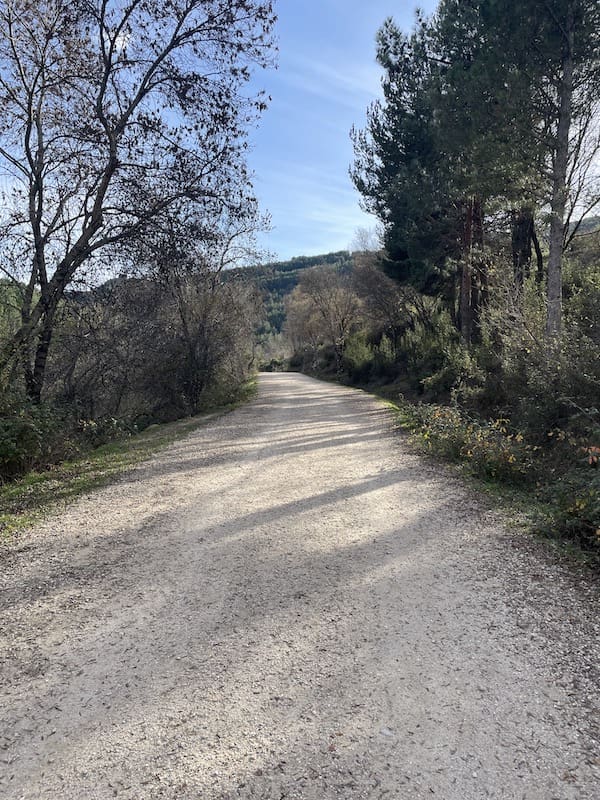 Pista forestal por la que se realiza la ruta de marcha nórdica en la Pedriza.