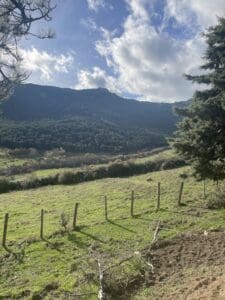 Vistas espectaculares en la ruta de marcha nórdica