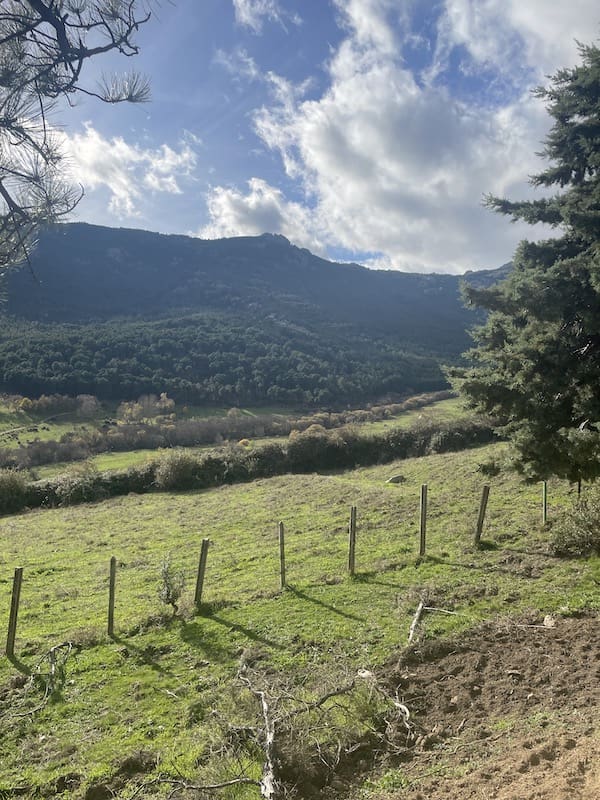 Vistas espectaculares en la ruta de marcha nórdica