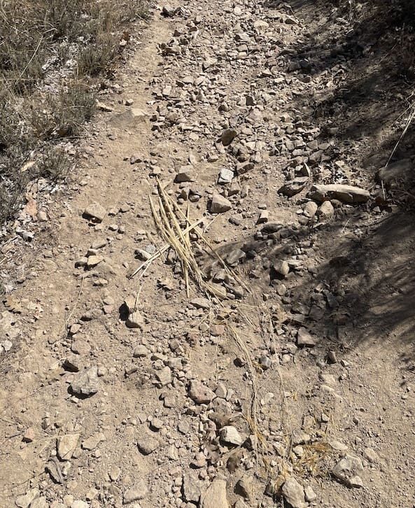 Sendero de piedra suelta en la ruta de marcha nórdica de Becerril