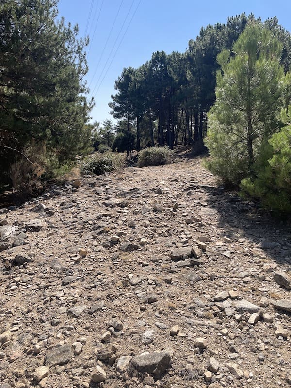 Camino ancho con piedra suelta en la ruta de marcha nórdica
