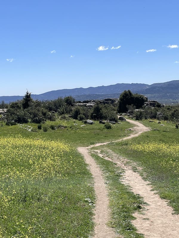 Parte del Camino de Santiago de Madrid por el que transcurre la ruta de marcha nórdica