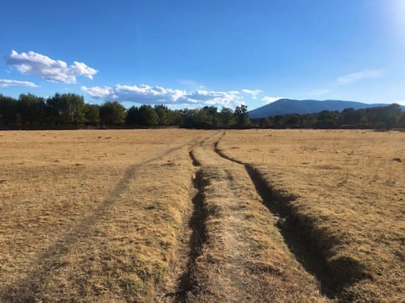 Pradera por la que transcurre la ruta de marcha nórdica de los Barrizales