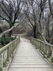 puente de madera en buen estado y bonito en la ruta de marcha nórdica