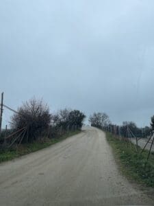 Pasamos por encima de las vías del tren en la ruta de marcha nórdica