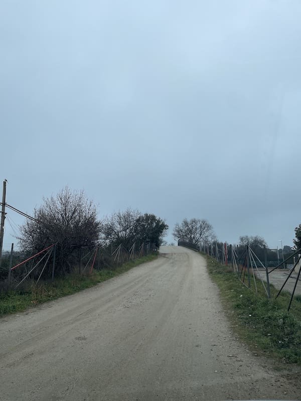 Pasamos por encima de las vías del tren en la ruta de marcha nórdica