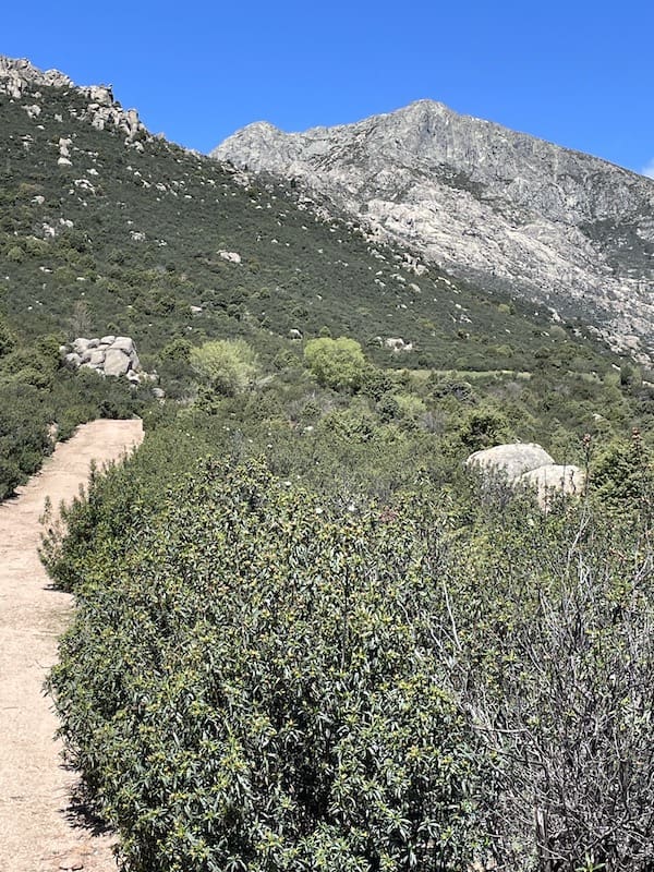 Senda hacia el Camino de Santiago por la que practicamos marcha nórdica