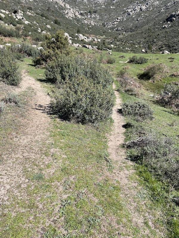 Sendero hacia el collado del Fraile por el que realizar marcha nórdica