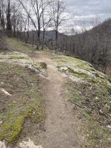 Sendero que avanza paralelo al río Pradillo en la ruta de marcha nórdica