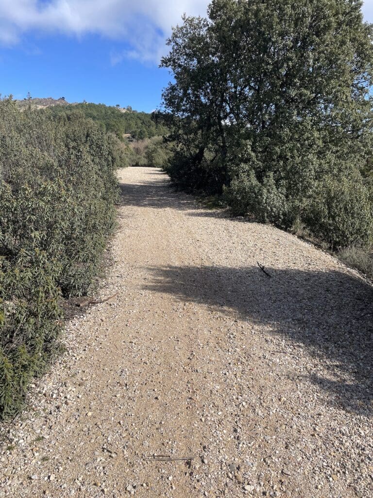 Pista agradable para practicar marcha nórdica