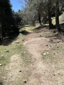 Sendero en la ruta de marcha nórdica del Pico Martillo