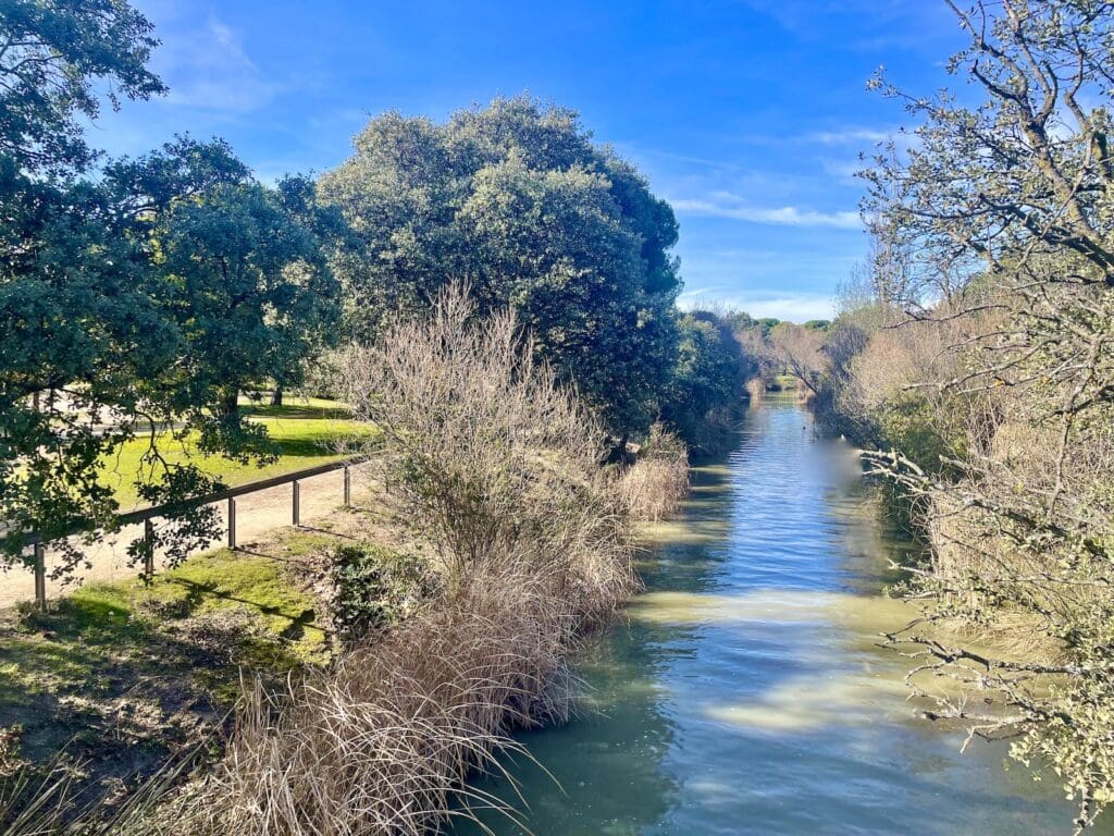 Dehesa de Navalcarbón