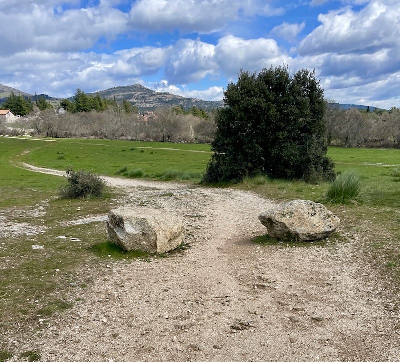 Pradera que atravesamos en la ruta de marcha nórdica de Los Molinos