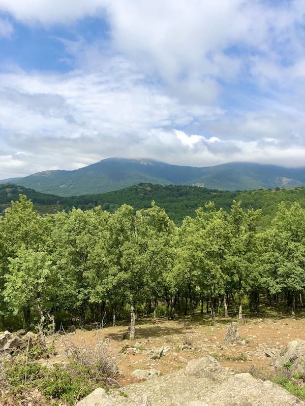 Vistas desde el mirador de Camorritos por el que pasamos en la ruta de marcha nórdica