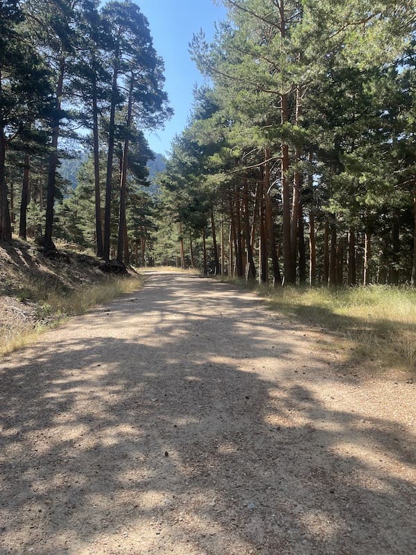Ruta de marcha nórdica a la Campanilla por pista