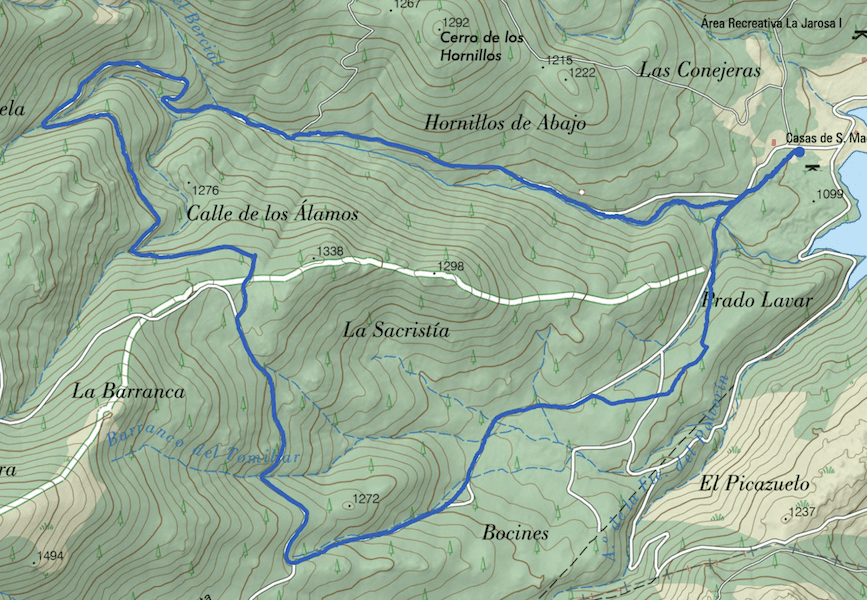 Mapa de la ruta de marcha nórdica al bosque plateado