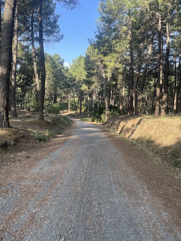 Pista asfaltada para la práctica de marcha nórdica