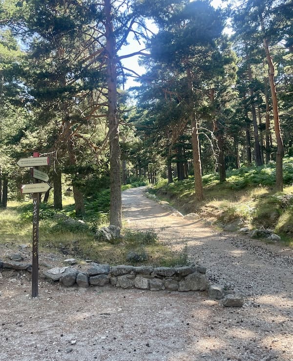 Ruta de marcha nórdica a la fuente de la campanilla