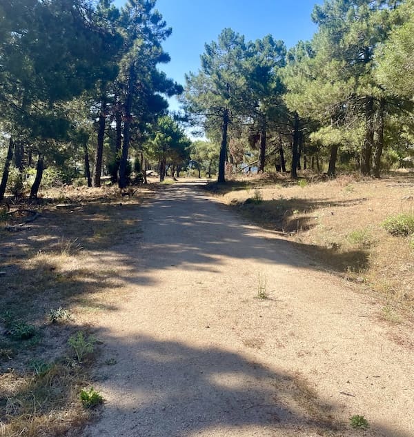 Pista de descenso en la ruta de marcha nórdica por la Jarosa.