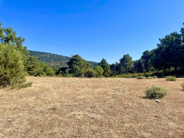Pradera en la ruta de marcha nórdica por la Jarosa.