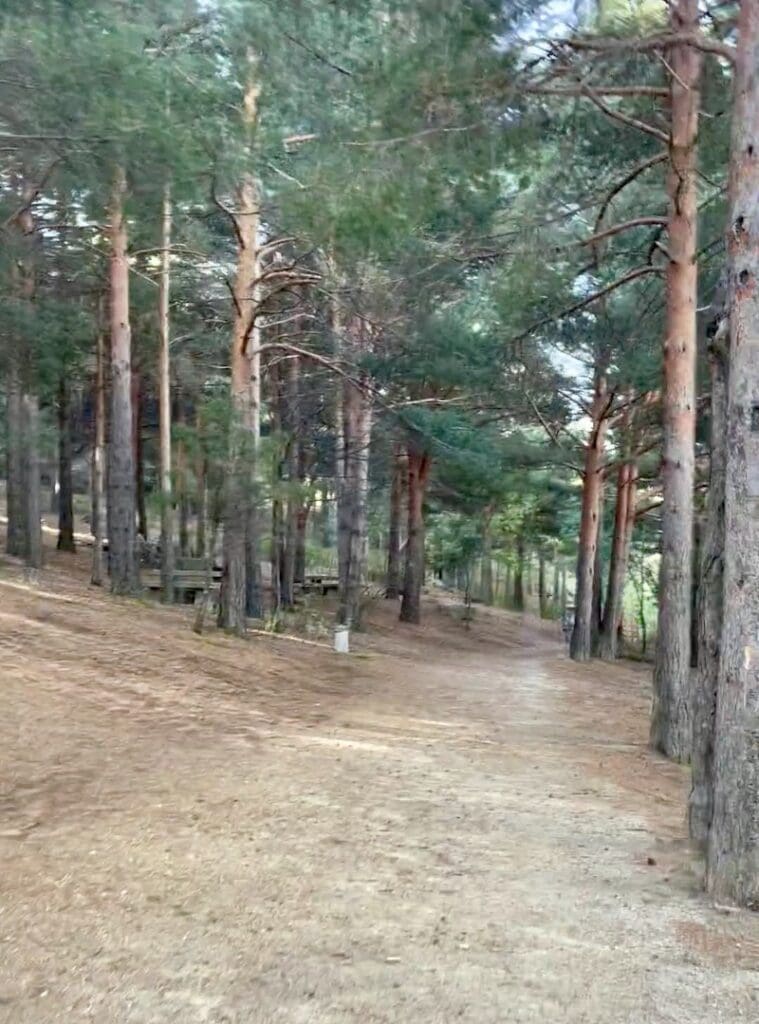 Ruta de marcha nórdica al embalse de Navacerrada en la Sierra de Guadarrama