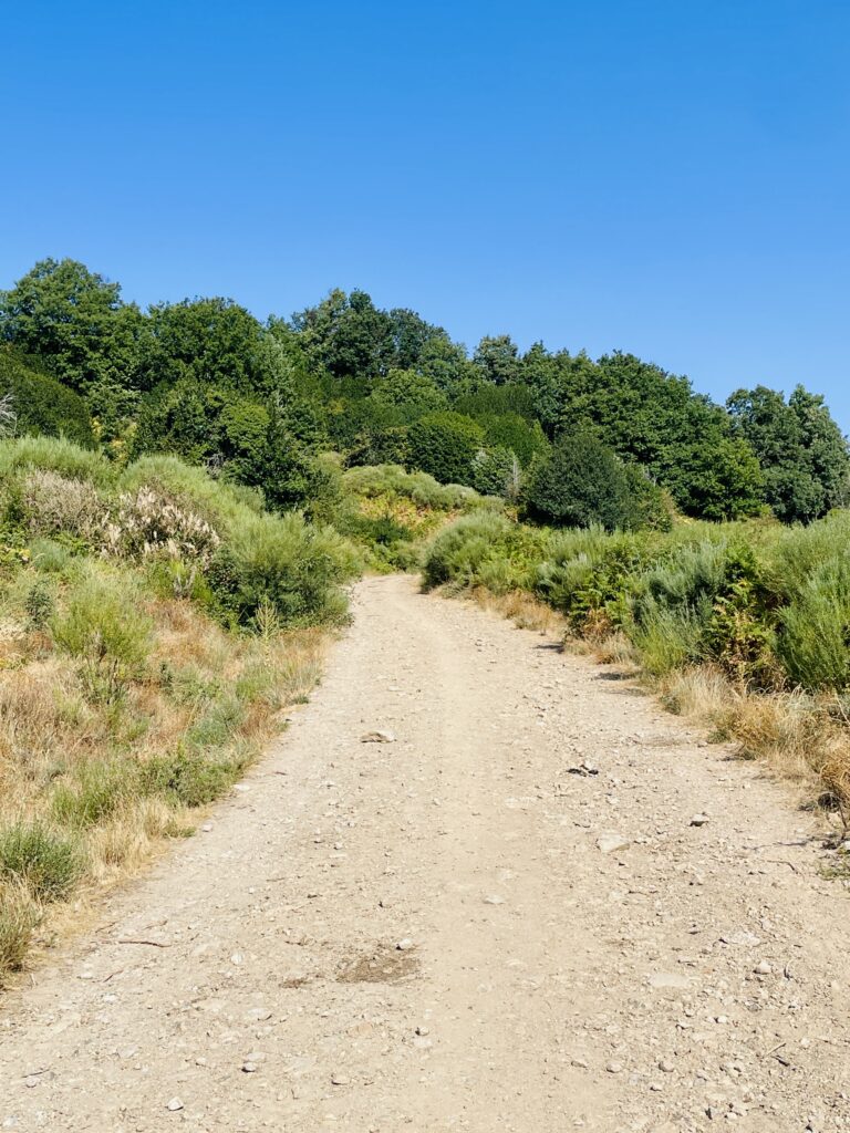 Ruta de marcha nórdica por los Acebos y la dehesa de Robregordo