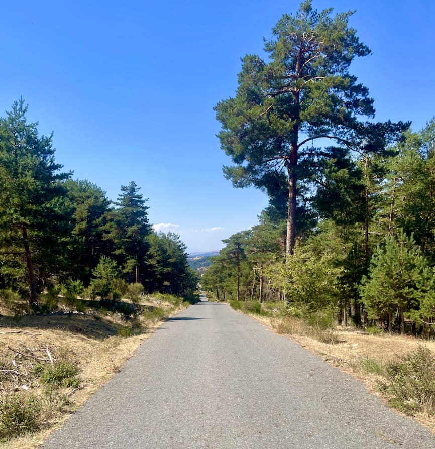 Pista asfaltada en la ruta de marcha nórdica