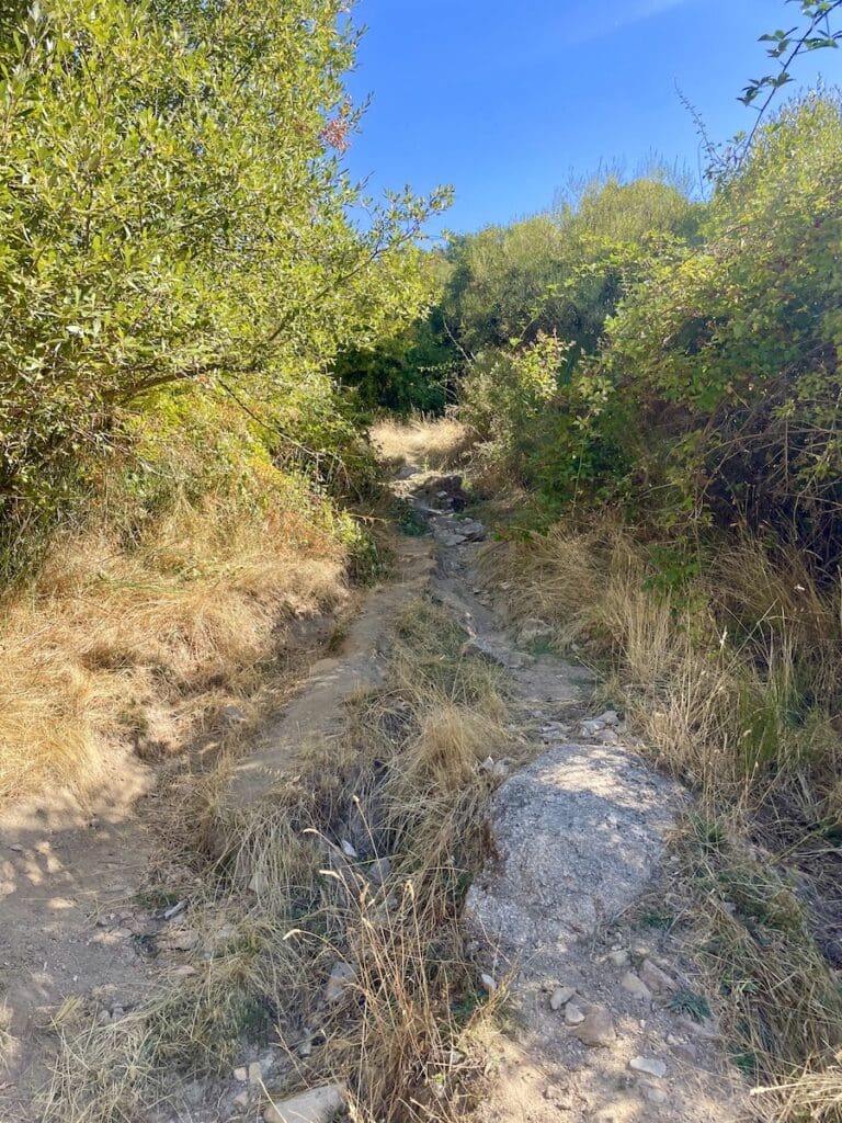 Sendero en la ruta de marcha nórdica en no muy buen estado
