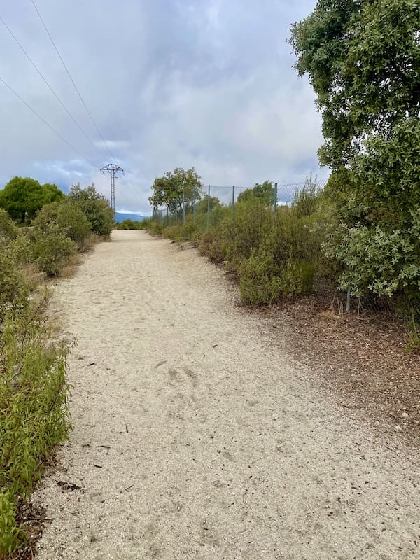 Pista para practicar marcha nórdica en la sierra de guadarrama