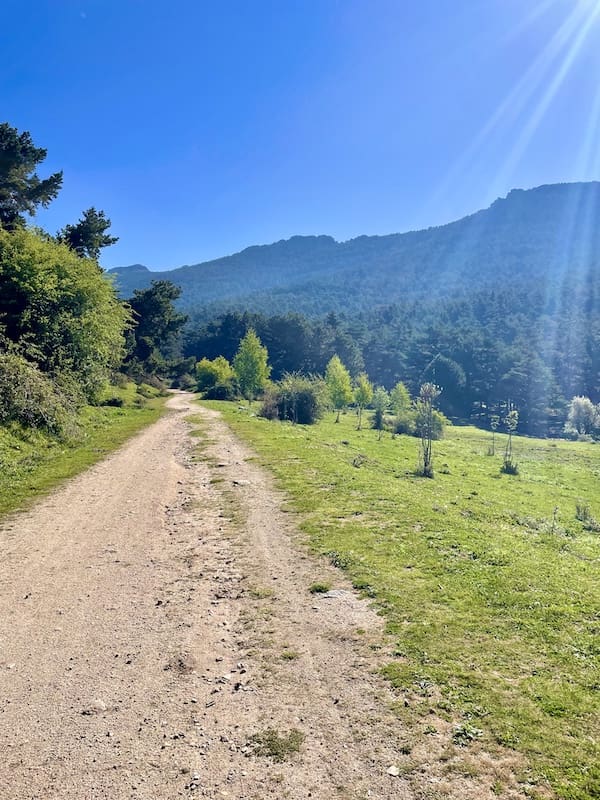 Pista para practicar marcha nórdica en la sierra de Guadarrama