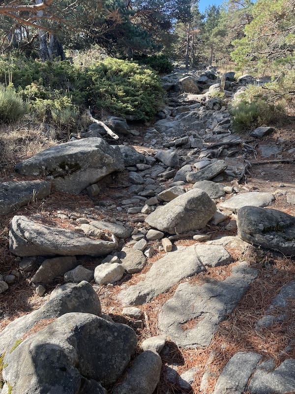 Camino lleno de piedras en la ruta de marcha nórdica por la Sierra de Madrid