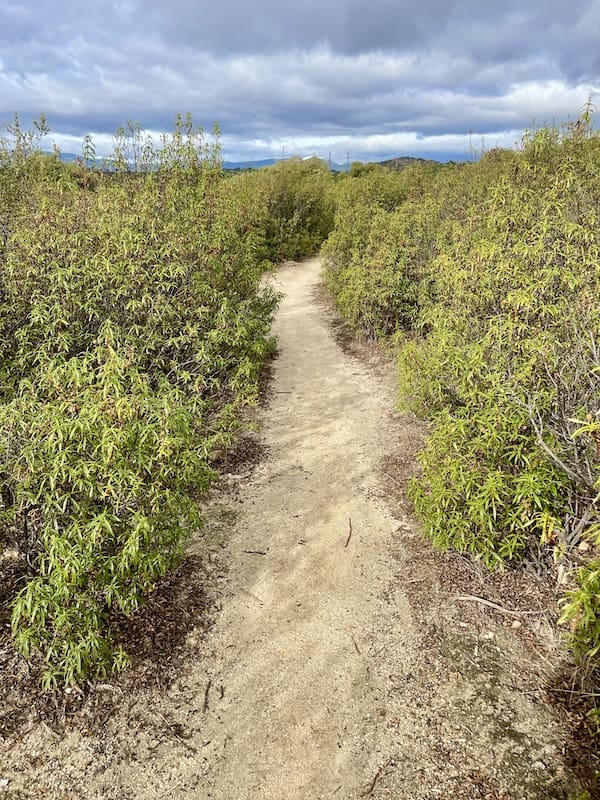 Sendero para practicar marcha nórdica en la sierra de guadarrama