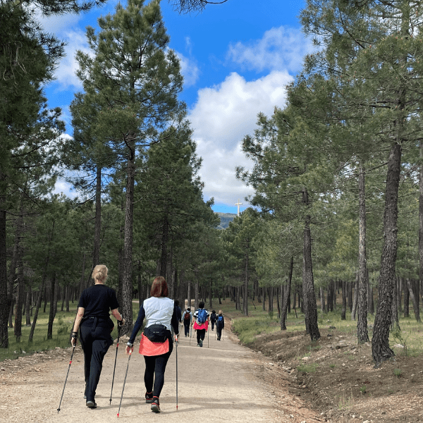 Practicando nordic walking en la montaña