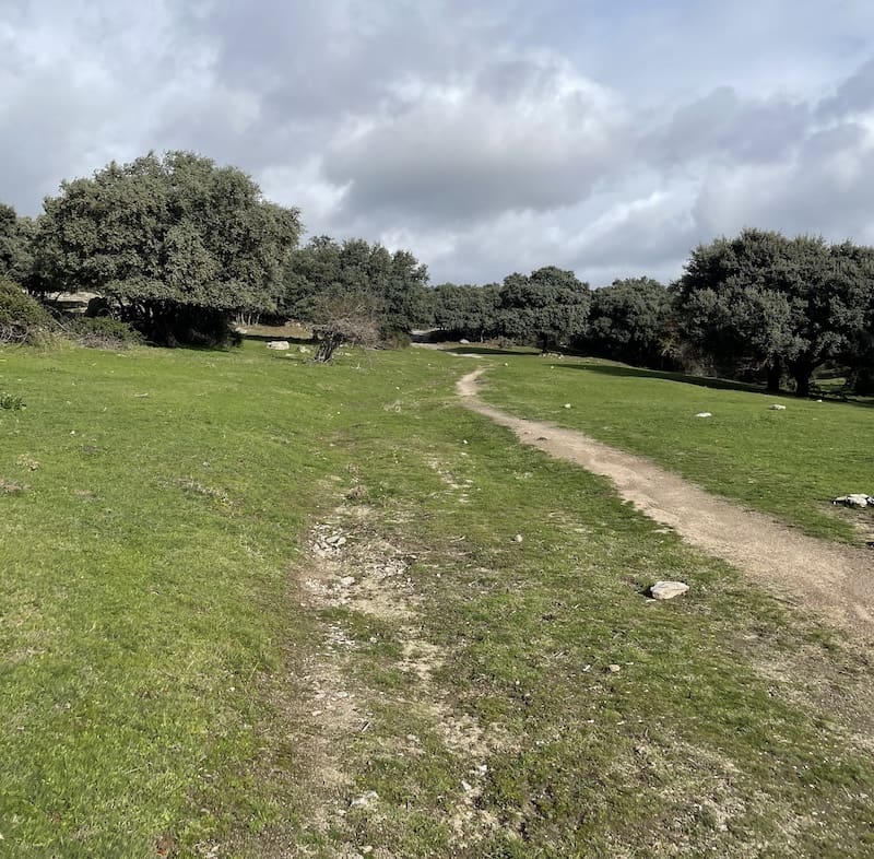 Senda para practicar la marcha nórdica