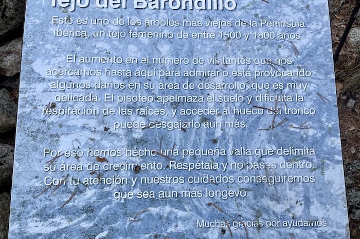 Cartel informativo sobre el Tejo de Barondillo