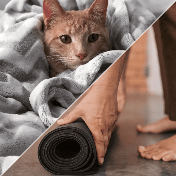 Manta y esterilla para realizar yoga