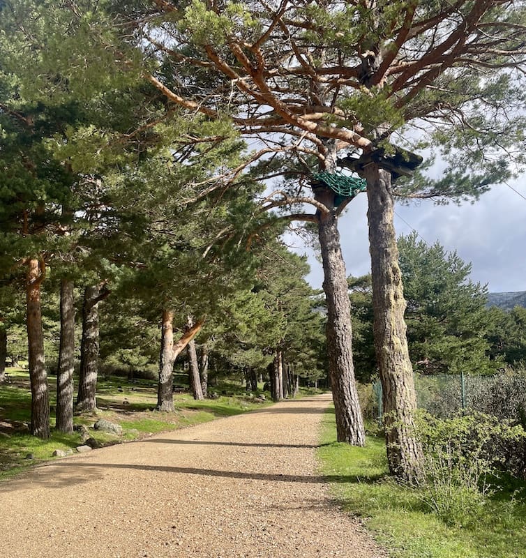Pista de marcha nórdica en la Barranca